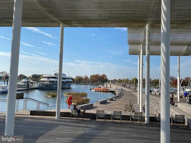 Town Square Towers unit 231, Washington, DC 20024 - photo 6