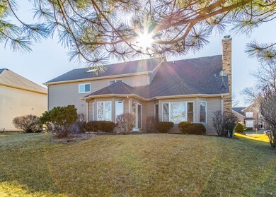 5076 Switch Grass Ln, Naperville, IL 60564 - photo 4