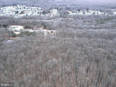 0 Route 209 unit PADA2019958, Out of County, PA 17098 - photo 4