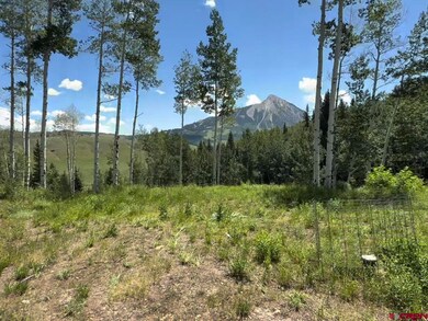 227 Phoenix Way, Crested Butte, CO 81224 - photo 3