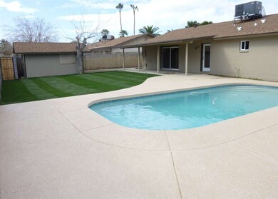 Backyard with play pool