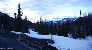 view from road in spring