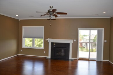 2 Living Room Fireplace view