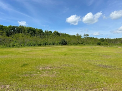 0 Crumb Cemetary Rd unit 22454652, Cairnbrook, PA 15924 - photo 6