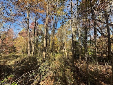 00 Day Dr, Hamptonville, NC 27020 - photo 4