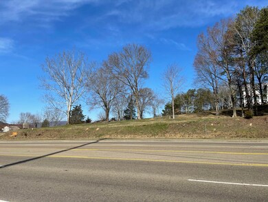 3036 Veterans Blvd Middle Creek Rd, Pigeon Forge, TN 37863 - photo 4