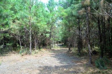 ... Liberty White Ln, McComb, MS 39648 - photo 7