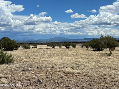 70 Off of Volcano, Ash Fork, AZ 86320 - photo 4