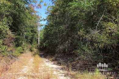 unlisted-address, Caryville, FL 32427 - photo 5