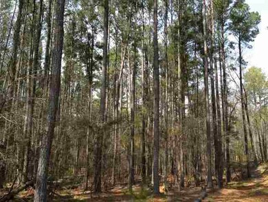 000 Highway 183, Walhalla, SC 29691 - photo 4