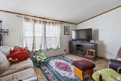 Living room with crown molding, carpet, a textured ceiling, and a textured wall