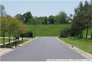 STREET VIEW FROM FRONT OF HOME - Levee & River Rd 
