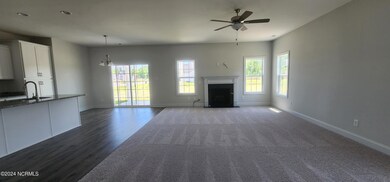 3001 Sharpnose St, New Bern, NC 28562 - photo 3