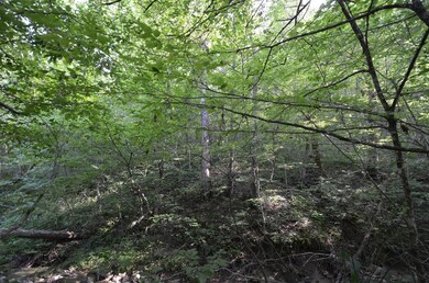 2167 Brewers Mill Rd, Harrodsburg, KY 40330 - photo 6