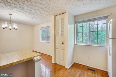 11504 Ivy Bush Ct, Reston, VA 20191 - photo 6