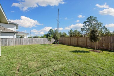 129 Cedar Hammock Ln, the Woodlands, TX 77375 - photo 4