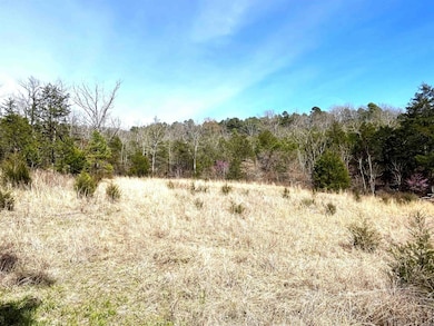9205 Highway 9, Melbourne, AR 72556 - photo 6