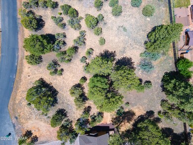 DJI_0346