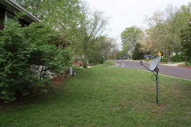 side yard