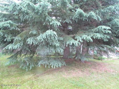111-126412 Front Yard