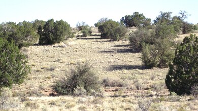 2978 S Lowell Dr, Valle, AZ 86046 - photo 6