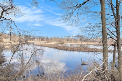 0 Azaleamum Vl Lot 48 Dr, Three Rivers, MI 49093 - photo 7