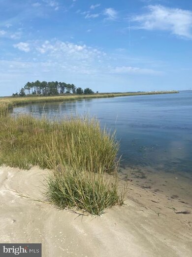 37191 Harbor Dr unit 3204, Ocean View, DE 19970 - photo 4