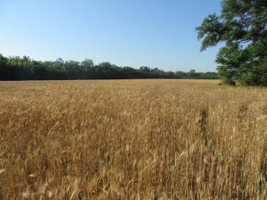 0 Mosley Rd, Uvalda, GA 30473 - photo 2