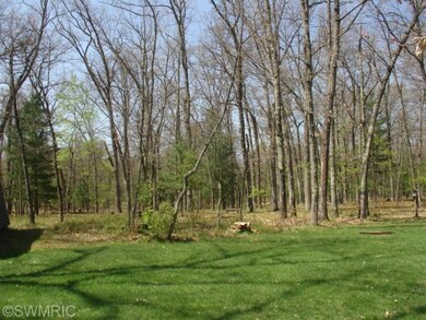 6995 N Parsons Ave, Brohman, MI 49312 - photo 3