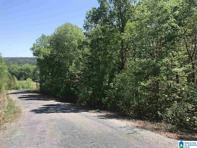 Along this side of the road driving back toward Hwy 411 there are 4 lots available and they are listed with two lots to each listing giving someone a very nice opportunity to build and have privacy. Purchase all 4 at a discounted price.