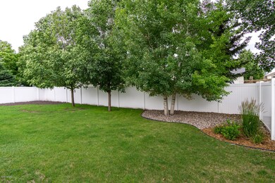 Fenced yard
