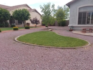 Front yard