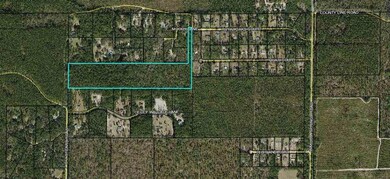 xx Moody Ln, Crawfordville, FL 32327 - photo 2