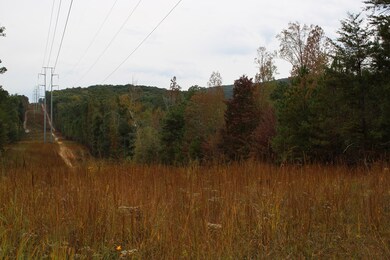 0 Reo Rd unit 124704, Rocky Face, GA 30740 - photo 5