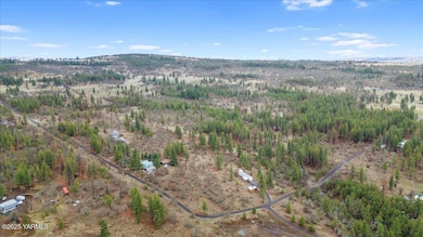 NKA Log Cabin Rd, Goldendale, WA 98620 - photo 3