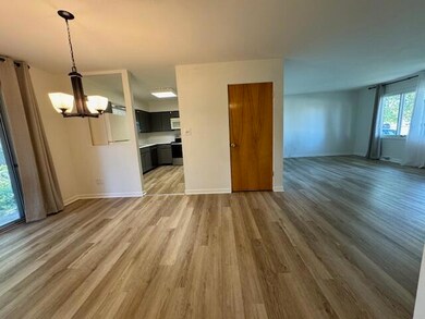 2201 W 93rd Ave, Crown Point, IN 46307 - photo 5