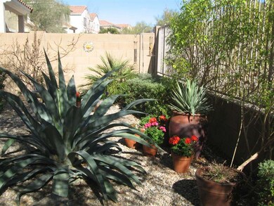 deneekholmpicofbackyardsideshot