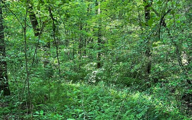 Additional View