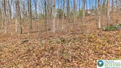 221 Brookdale Rd, Bartonsville, PA 18321 - photo 6