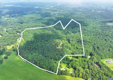 1293 Pounding Creek Rd, Charlottesville, VA 22903 - photo 5