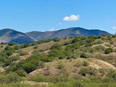 32 AC Temporal Canyon Rd, Patagonia, AZ 85624 - photo 2