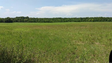 GREAT PASTURE OR HAYFIELD. LOOKING DOWN TOWARD THE