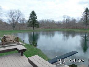 Take A Dive Into The Pond!