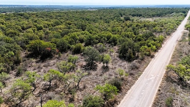 000 County Road 129, Brownwood, TX 76801 - photo 2