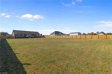 1133 Knox Farms Blvd, Woodleaf, NC 27054 - photo 5