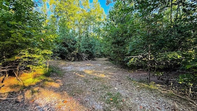 5267 E Prince Rd, Heltonville, IN 47436 - photo 7