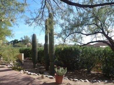 Three Saguaros