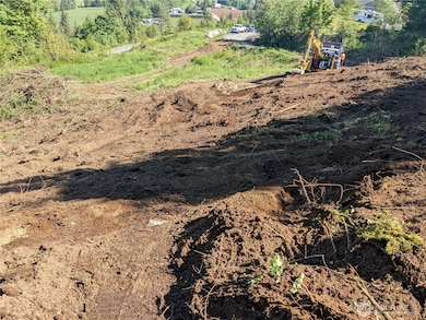 4135 Kamphouse Dr, Sumas, WA 98295 - photo 3