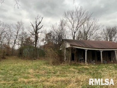 703 Buchanan Rd, Iuka, IL 62849 - photo 3