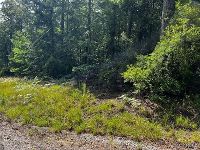 Lots of hardwood on property